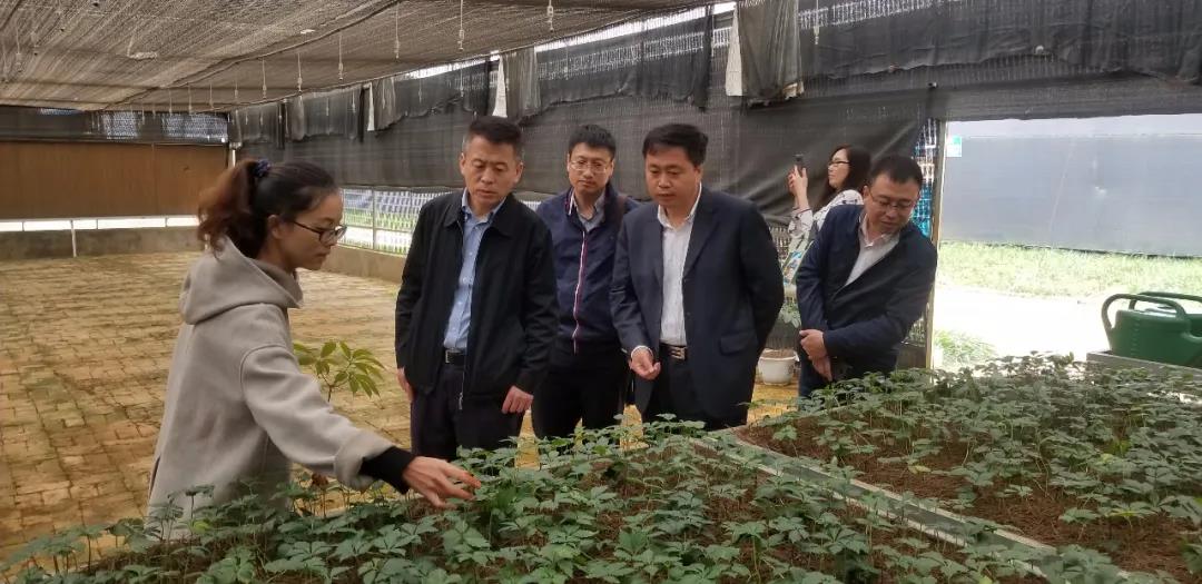 7CE2B6673D54E6A59D72F41E1B6_DA435BF0_1922F.jpg?e= 首页| J9集团国际站官方网站